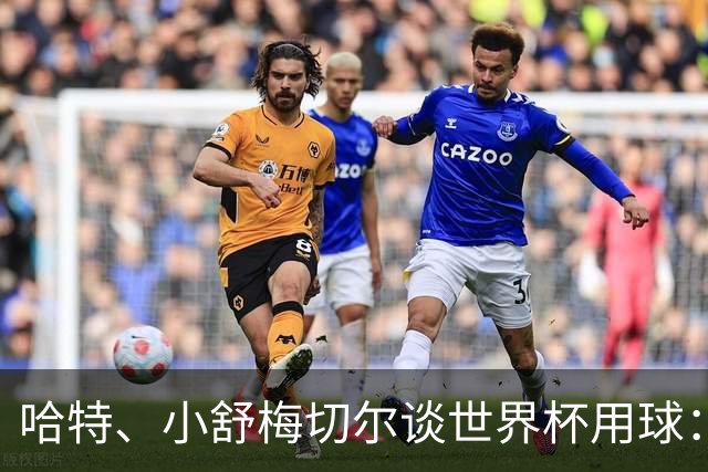哈特、小舒梅切尔谈世界杯用球：这球肯定有问题，远射太多了