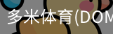多米体育官网